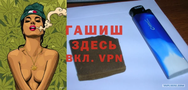 хмурый Аркадак