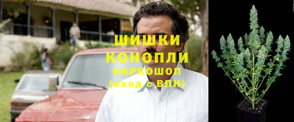 хмурый Аркадак