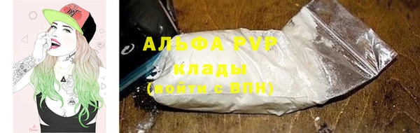 хмурый Аркадак