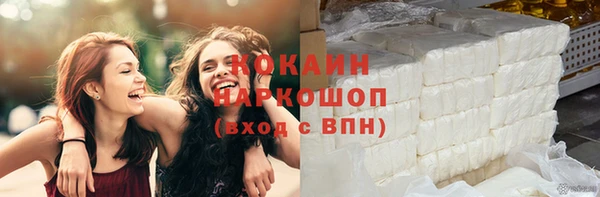 хмурый Аркадак