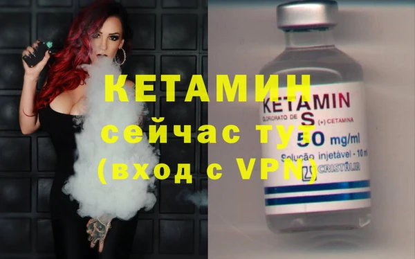 хмурый Аркадак