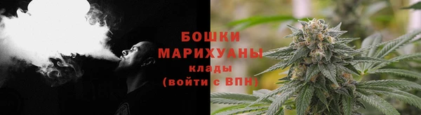 тгк Арсеньев