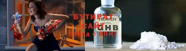 хмурый Аркадак