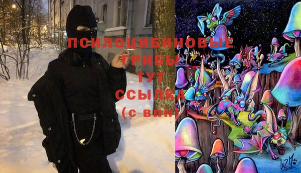 тгк Арсеньев