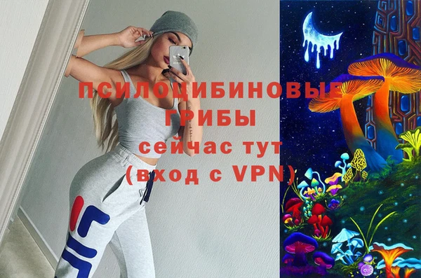 тгк Арсеньев