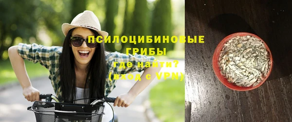 тгк Арсеньев