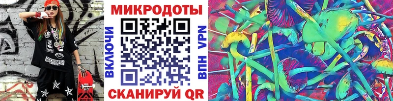Купить где  Данков  Галлюциногенные грибы Psilocybine cubensis 